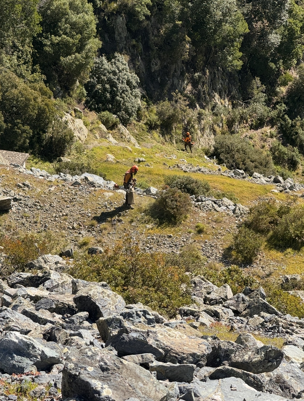 Barrage de l'Alesani